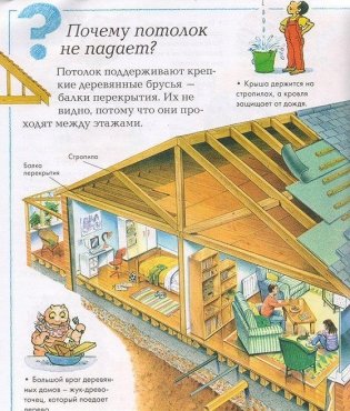 Что, зачем и почему? фото книги 4