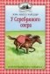 У Серебряного озера фото книги маленькое 2