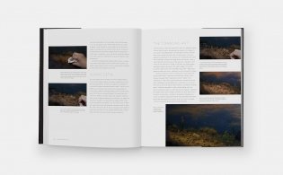 Landscapes in Oil: A Contemporary Guide to Realistic Painting in the Classical Tradition фото книги 6