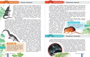 Красная книга мира фото книги 5