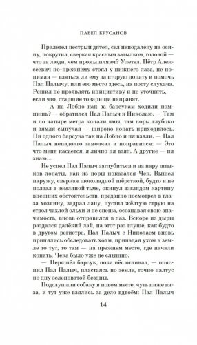 Игры на свежем воздухе фото книги 13