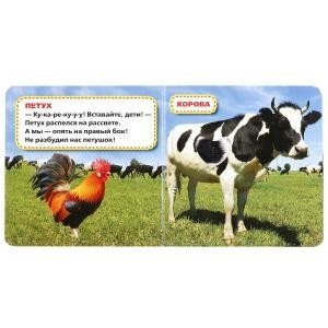 Домашние животные фото книги 2