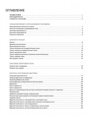 Анатомия человека: атлас-раскраска фото книги 6