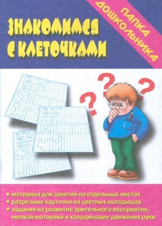 Знакомимся с клеточками. Зрительное восприятие, мелкая моторика рук фото книги