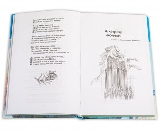 "Я конквистадор в панцире железном..." фото книги 3