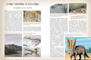Драконы и динозавры фото книги 5