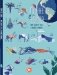 Планета Земля. Мир вокруг нас в инфографике фото книги маленькое 2