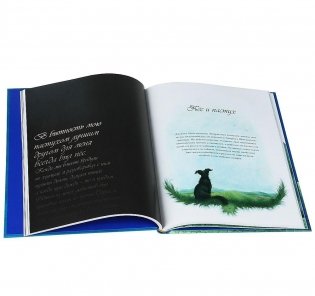 Сказки и легенды Шотландии фото книги 11