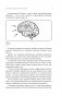 Нейропсихология детей от рождения до 10 лет. Развитие мозга и полезные игры фото книги маленькое 13