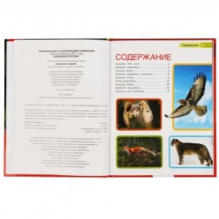 Хищники России. Энциклопедия с развивающими заданиями фото книги 2