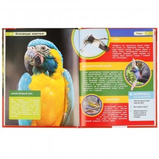 Исчезающие животные. Энциклопедия с развивающими заданиями фото книги 3