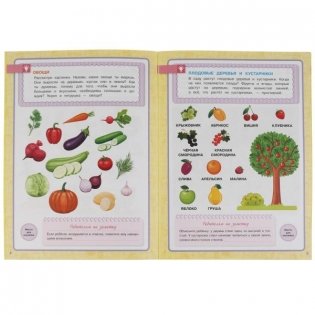 Окружающий мир. Школа Жуковой. Годовой курс фото книги 3