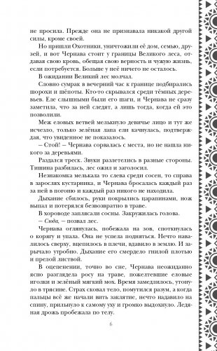 Золотые земли. Сокол и Ворон фото книги 7