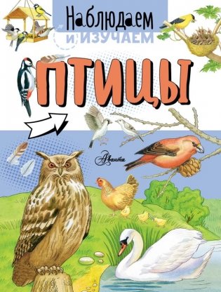 Птицы фото книги