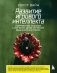 Развитие игрового интеллекта. Современные подходы к обучению детей игровому мышлению в футболе фото книги маленькое 2