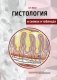 Гистология. В схемах и таблицах. Учебное пособие фото книги маленькое 2