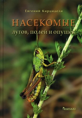 Насекомые лугов, полей и опушек фото книги