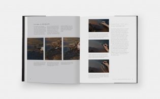 Landscapes in Oil: A Contemporary Guide to Realistic Painting in the Classical Tradition фото книги 7