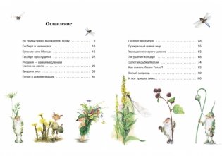 Гном из водосточной трубы фото книги 5