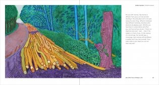 Hockney`s Pictures фото книги 10
