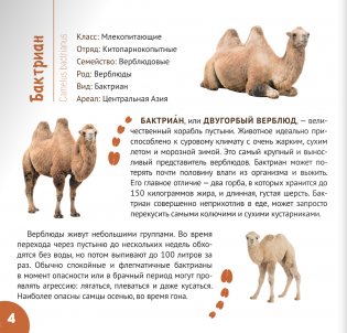 Обитатели пустынь и полупустынь. Серия "Планета животных" фото книги 5