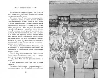 Рыцарь-призрак фото книги 6