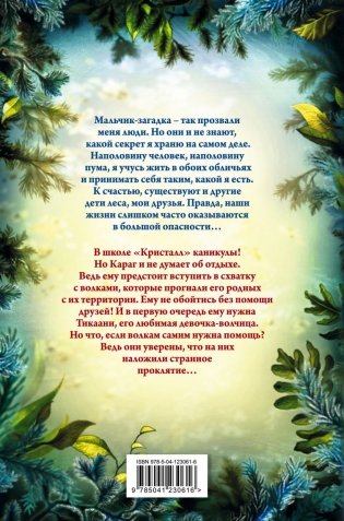 Караг и волчье испытание (#7) фото книги 17