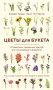Цветы для букета. Справочник срезанных цветов для начинающего флориста. Что и когда покупать и как продлить цветам жизнь фото книги маленькое 2
