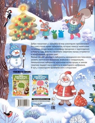Новогодние лабиринты фото книги 4