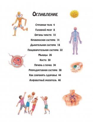 Тело человека фото книги 4