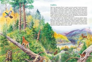 Природа России. Иллюстрированная энциклопедия фото книги 5