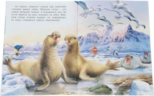 На полюсе фото книги 3