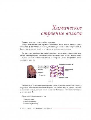 Библия парикмахера колориста. Главная книга по созданию идеального цвета волос фото книги 9