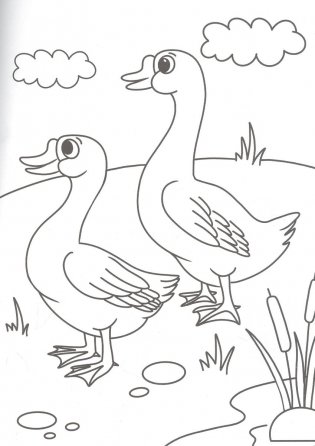 Раскраска. Кто живет на ферме? фото книги 3