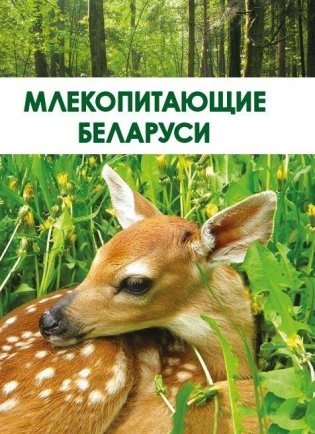 Млекопитающие Беларуси фото книги