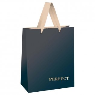 Пакет подарочный 18х23х10 см MESHU "Duotone. Graphite gradient", отд. фольгой, матовая ламинация. Арт. MS_51869 фото книги