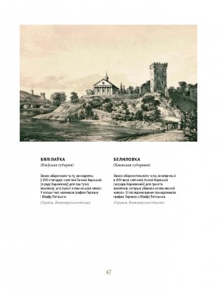 Напалеон Орда. Наполеон Орда фото книги 9