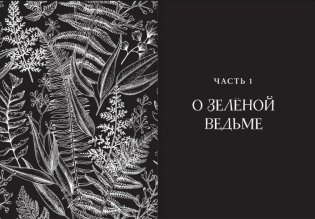Green Witch. Полный путеводитель по природной магии трав, цветов, эфирных масел и многому другому фото книги 6