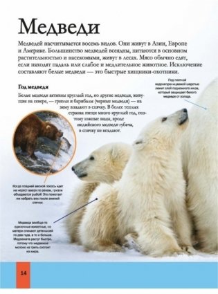 Животные фото книги 5