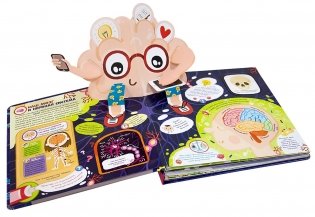 Мозг. Компьютер в моей голове. Книжка-панорамка фото книги 3