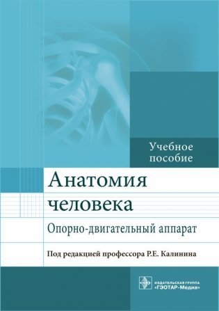 Анатомия человека. Опорно-двигательный аппарат фото книги