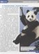 Животный мир фото книги маленькое 4