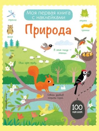 Природа (с наклейками) фото книги 3