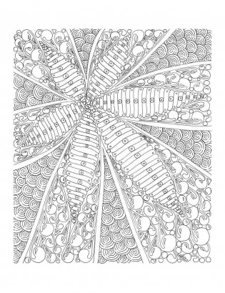 Волшебные мотивы фото книги 2