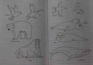 Животные: виды, особенности, места обитания фото книги 6