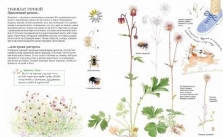 Софи в мире цветов фото книги 3