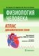 Физиология человека. Атлас динамических схем фото книги маленькое 2