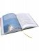 Горгели фото книги маленькое 8