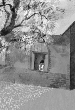 Лето в Михалувке и в Вильгельмувке фото книги 5