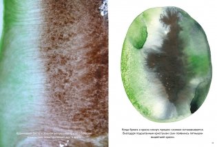 Цвет. Материалы, техники, сочетания фото книги 4